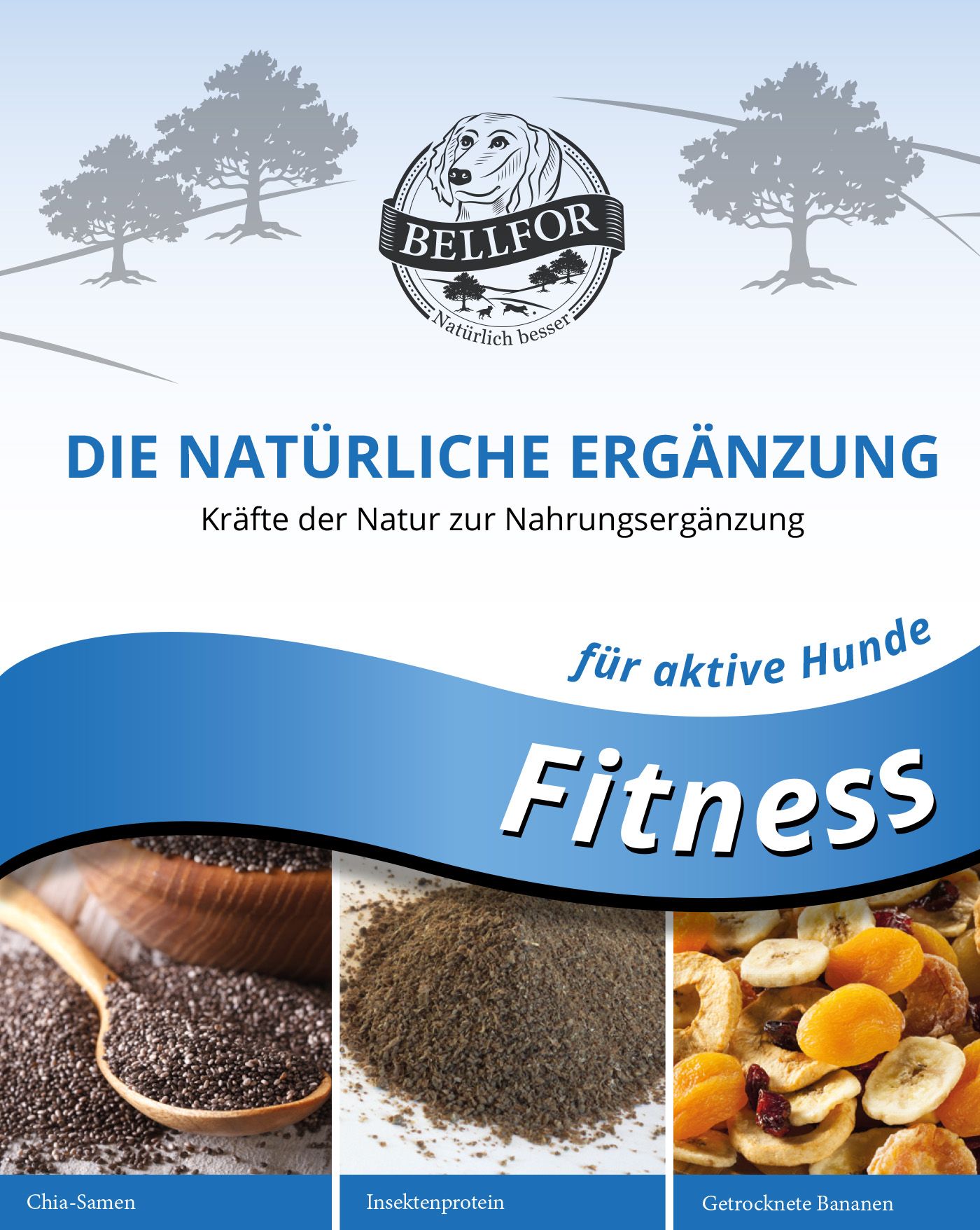 Werbefläche mit Text und Bildern. Text: Die natürliche Ergänzung, für aktive Hunde, Fitness. Bilder: Chia-Samen, Insektenprotein, getrocknete Bananen.