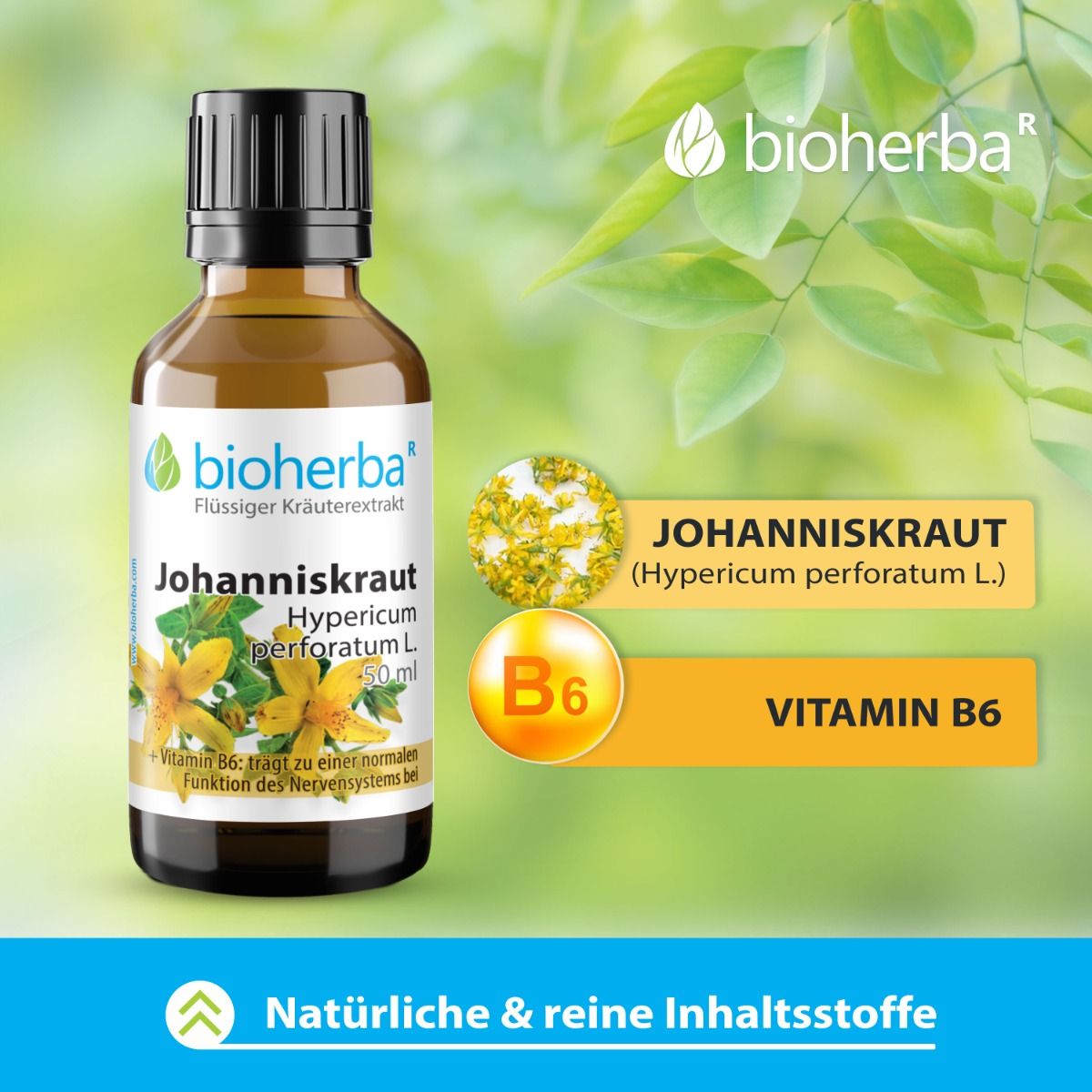 Johanniskraut Tropfen Tinktur 50 ml PZN 17187391