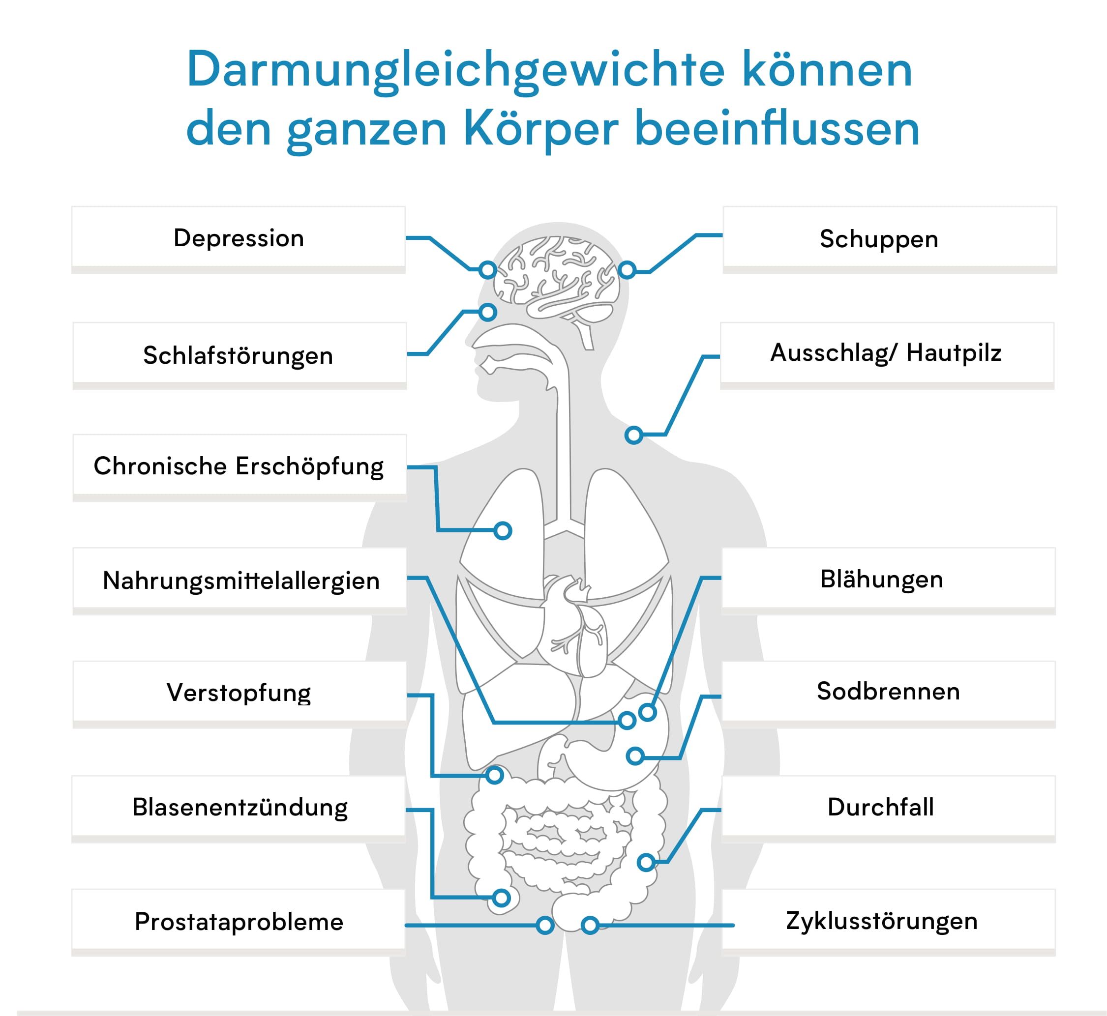 Verisana Leaky Gut Gesamtstatus 1 St