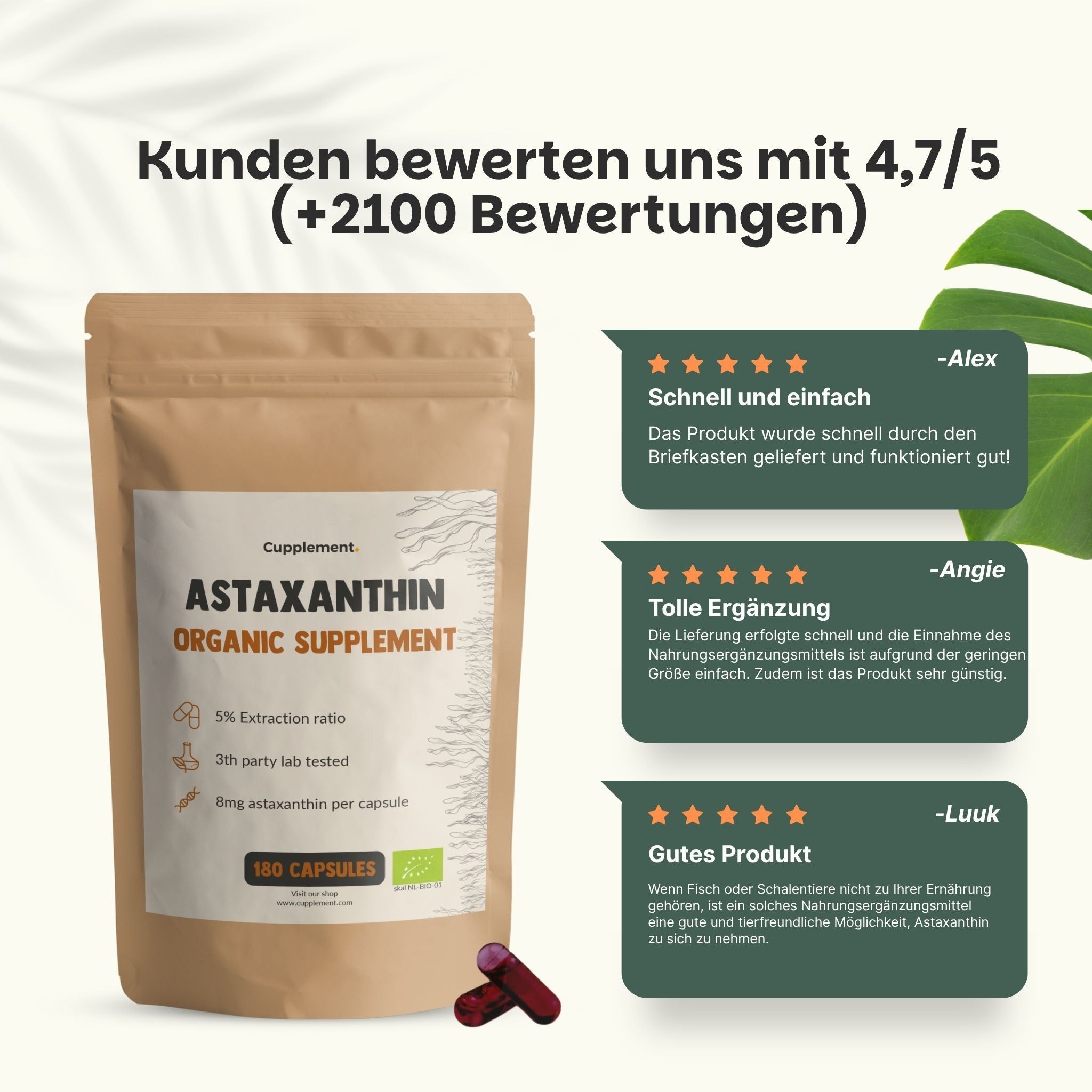 Kundenbewertungen: 4,7/5 Sterne, positive Rückmeldungen zu Lieferung und Produktqualität.
