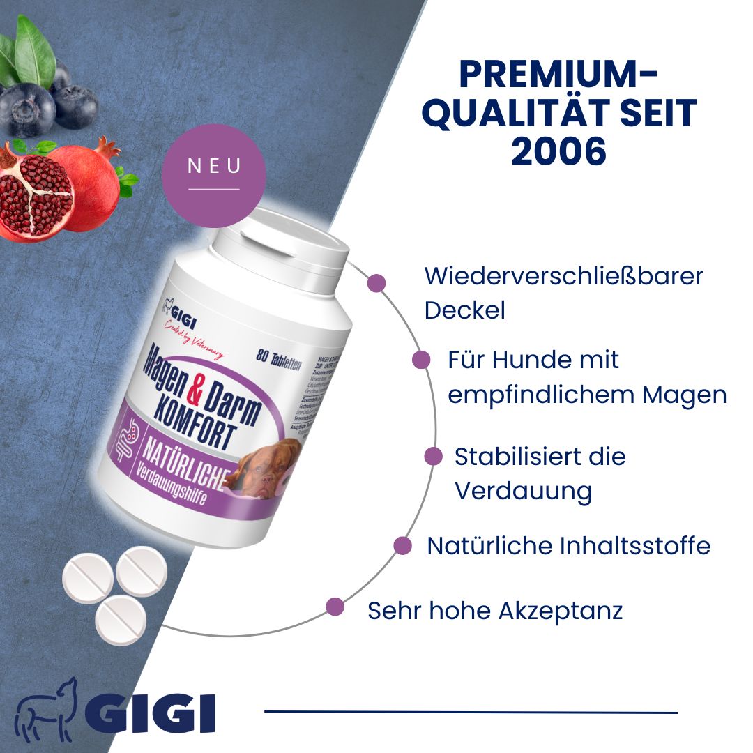 Tabletten-Dose mit Aufschrift 'Magen & Darm Komfort'. Text: 'Premium-Qualität seit 2006'. Zusätzliche Informationen.
