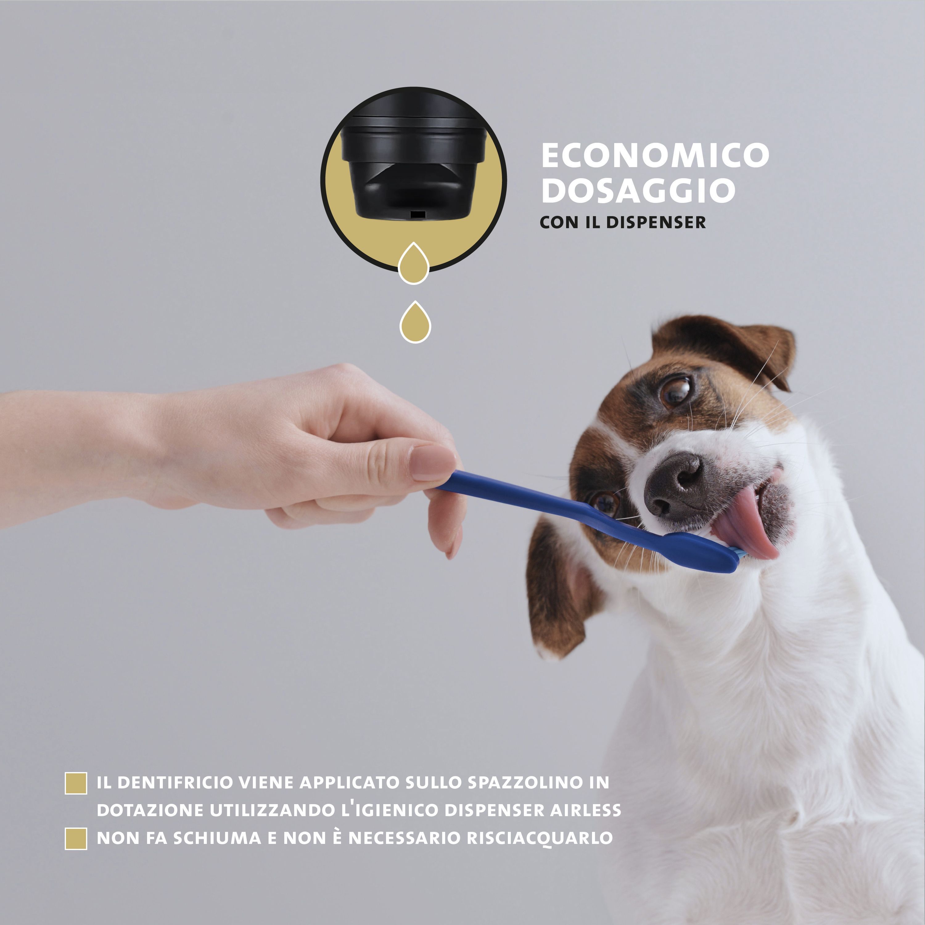 Hund mit Zunge, die an einer blauen Zahnbürste leckt. Text: Einfache Dosierung mit dem Druckspender. Der Zahnpasta wird auf die Zahnbürste aufgetragen.