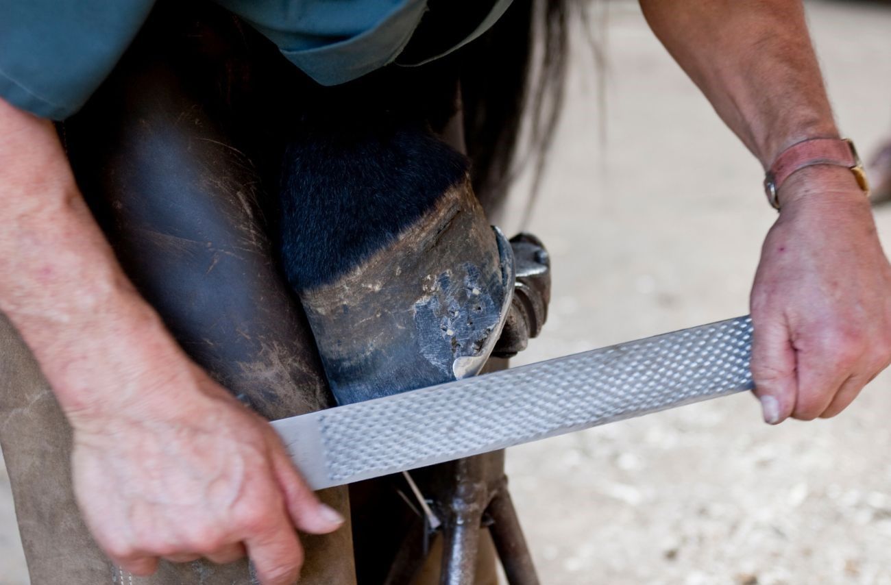 Waldhausen Hufbeschlag Set