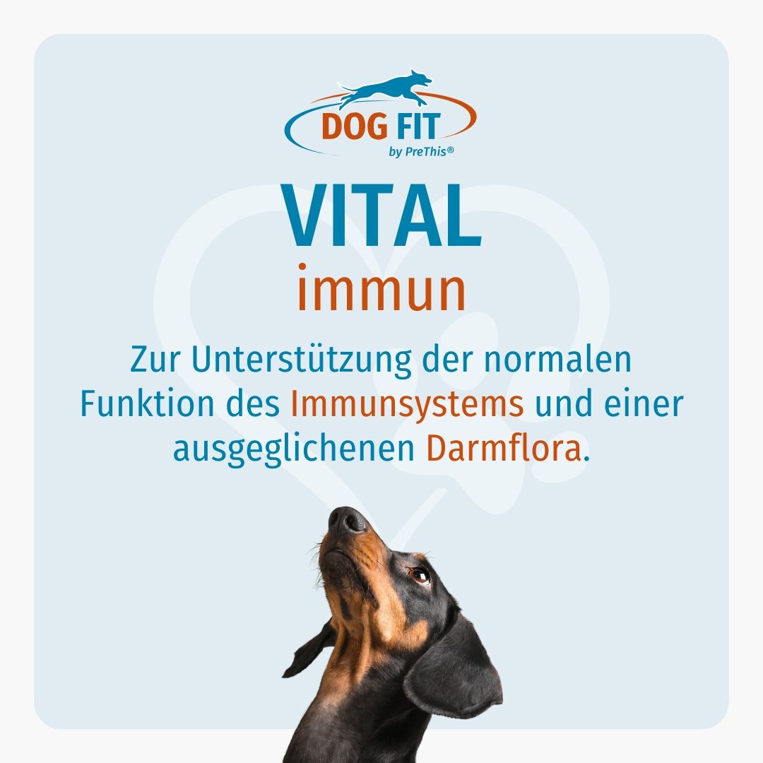 DOG FIT by PreThis® VITAL immun für Hunde » medium