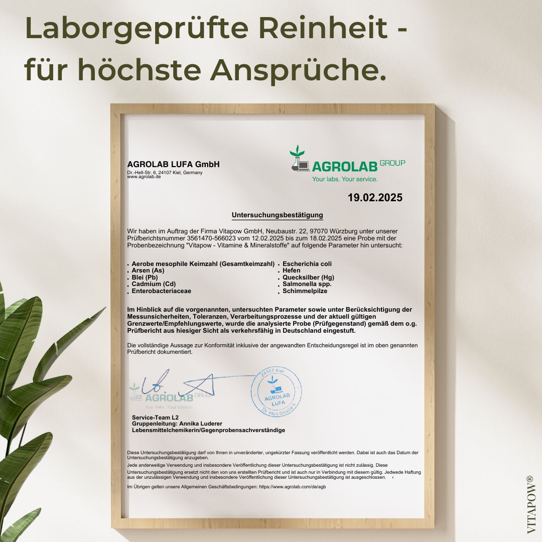 Gerahmtes Dokument: Laborgeprüfte Reinheit. Unterschriften, Stempel, Details zur Prüfung von Vitapow Multivitamin Pulver.