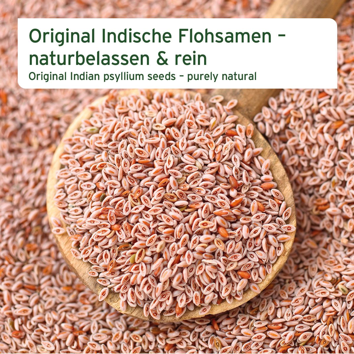 AniForte Indische Flohsamen