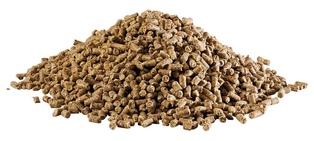 Haufen brauner Pellets. Keine weitere Beschreibung.