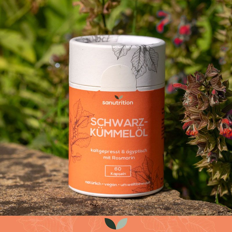 Zylindrische Dose mit Sanutrition Schwarzkümmelöl Kapseln. Orangefarbener Aufdruck, 60 Kapseln. Natürliche Umgebung.