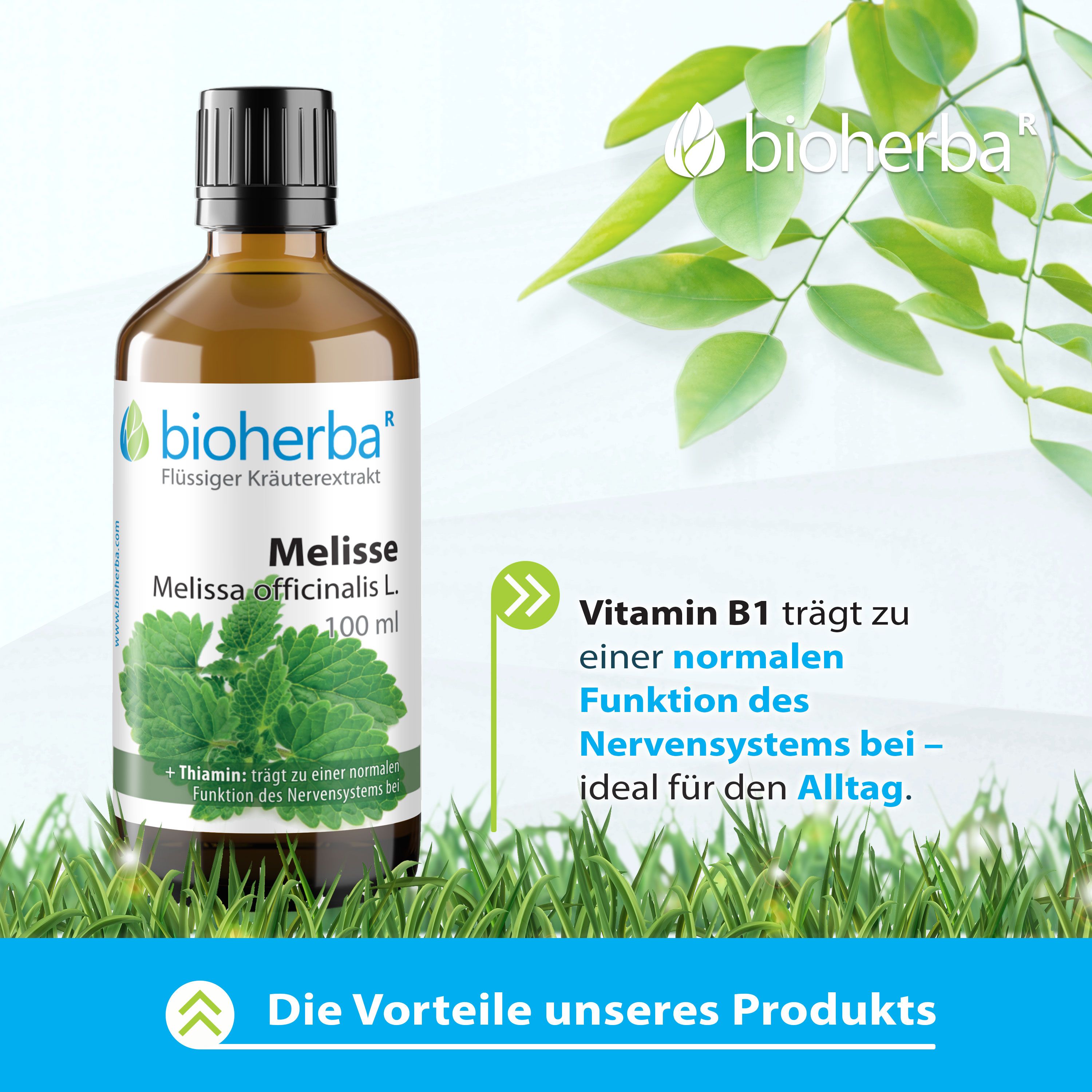 Bioherba Melisse Tinktur Flasche. Braune Glasflasche mit schwarzem Deckel. 100 ml. Text: Vitamin B1 für Nervensystem.