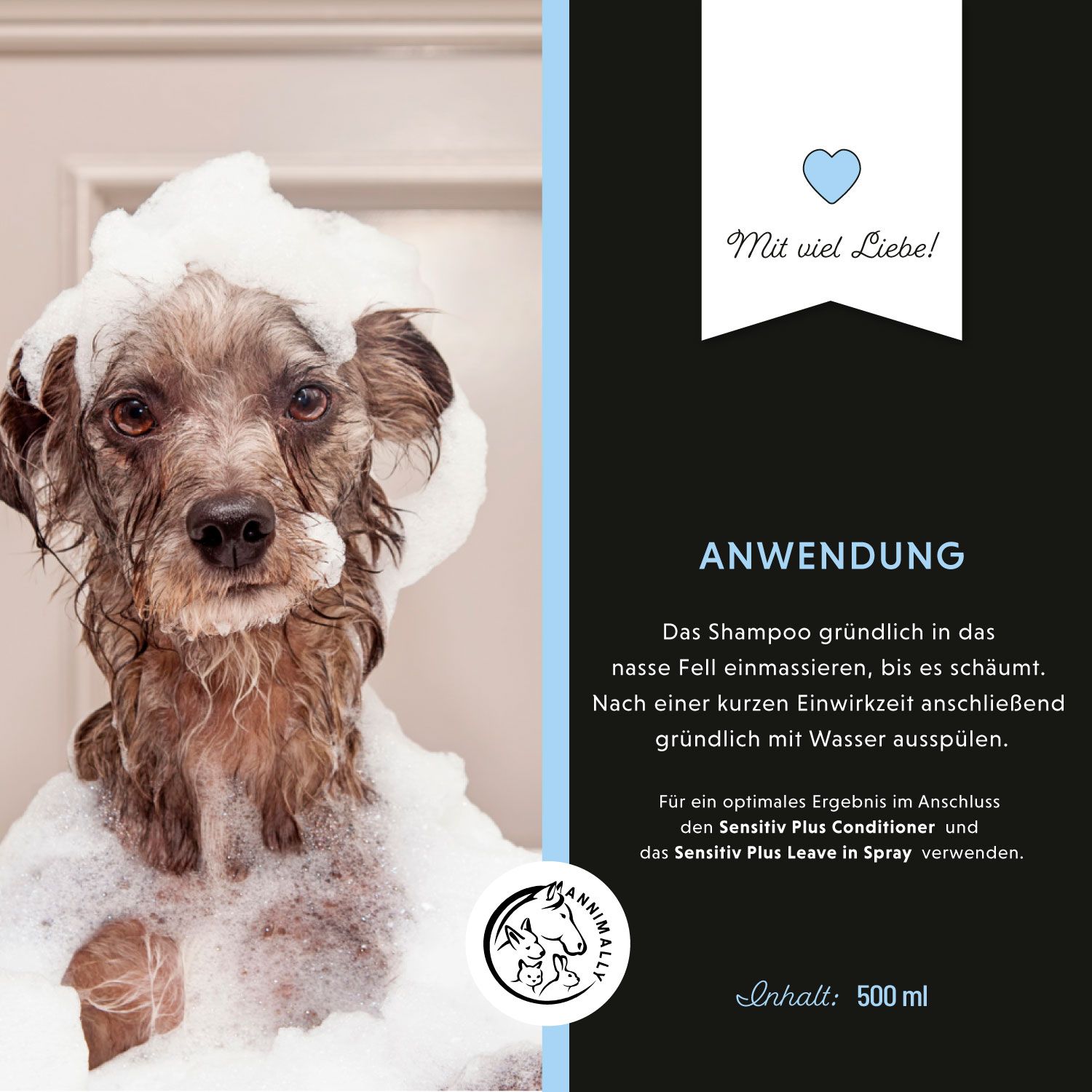 Hund mit Schaum auf dem Kopf. Text über Anwendung und Inhalt. Logo. Hintergrund in Schwarz- und Blautönen.