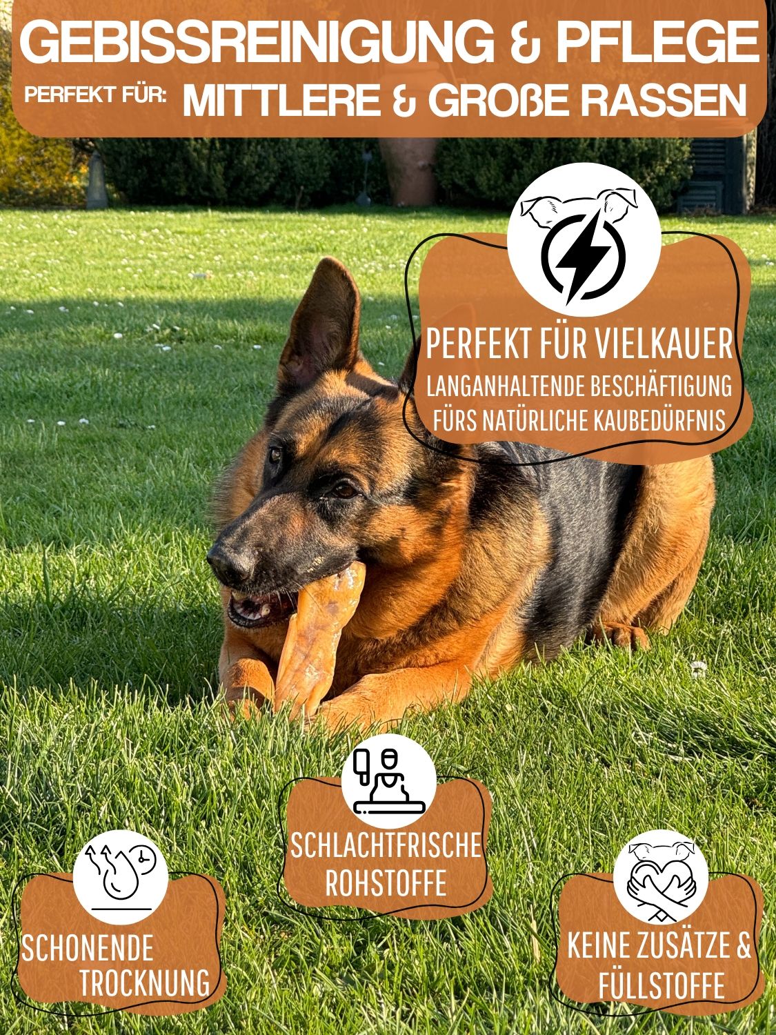 WEPO Rinderkopfhaut 20cm - Hunde Leckerlis