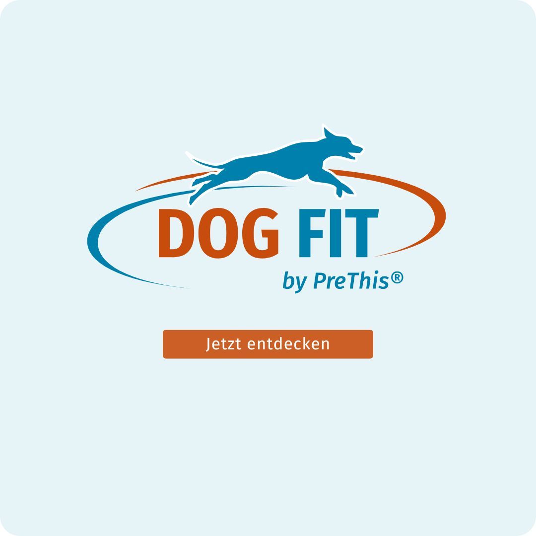 Logo DOG FIT by PreThis®. Text: Jetzt entdecken. Orangefarbener Button.