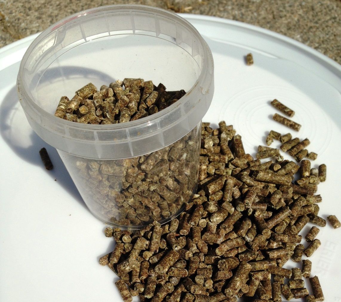 Transparenter Behälter mit Pellets, daneben verstreute Pellets. Auf weißem Untergrund.