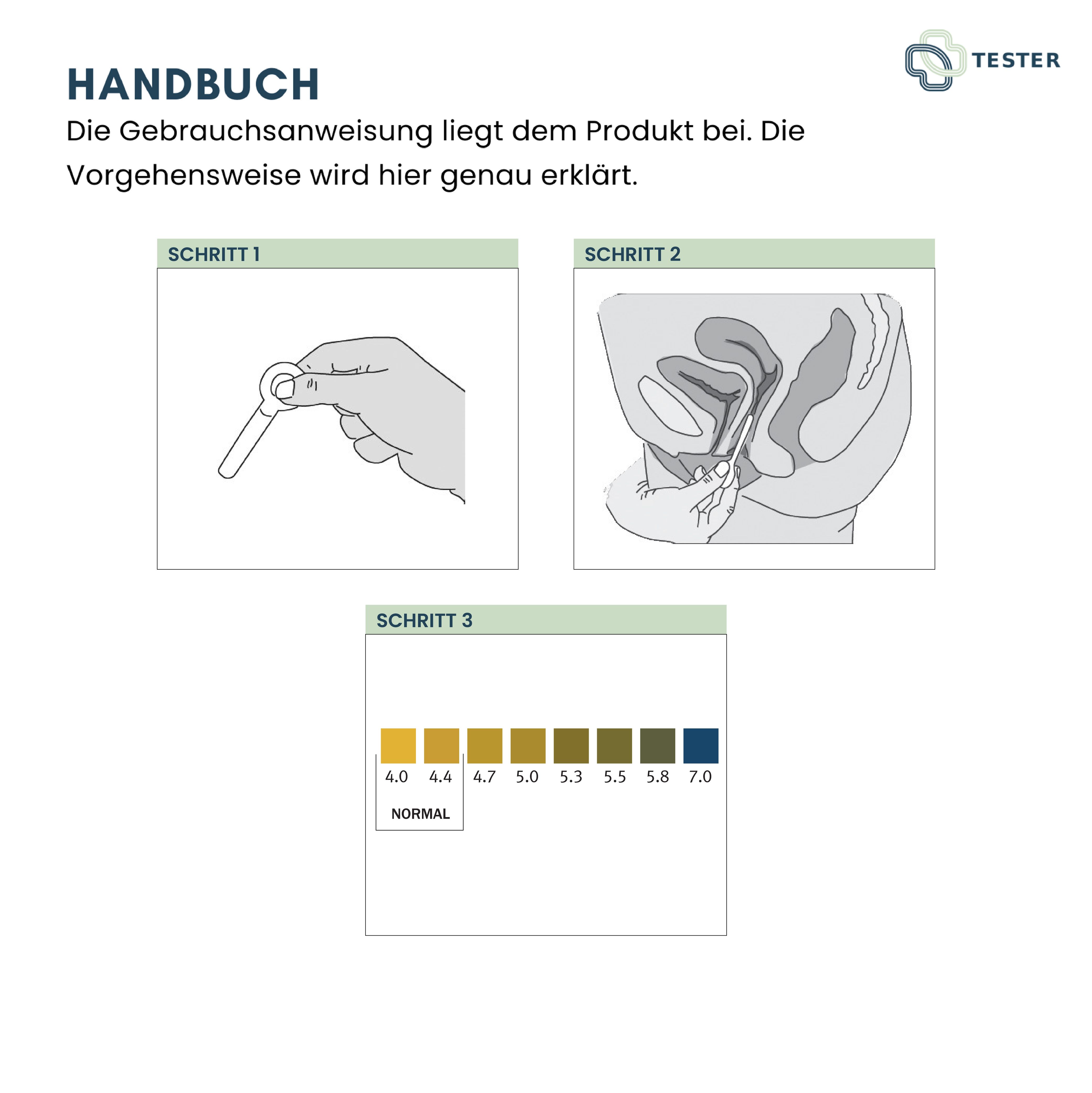 Anleitung mit Abbildungen: Schritt 1, Teststäbchen. Schritt 2, Anwendung. Schritt 3, Farbskala für Ergebnisse.