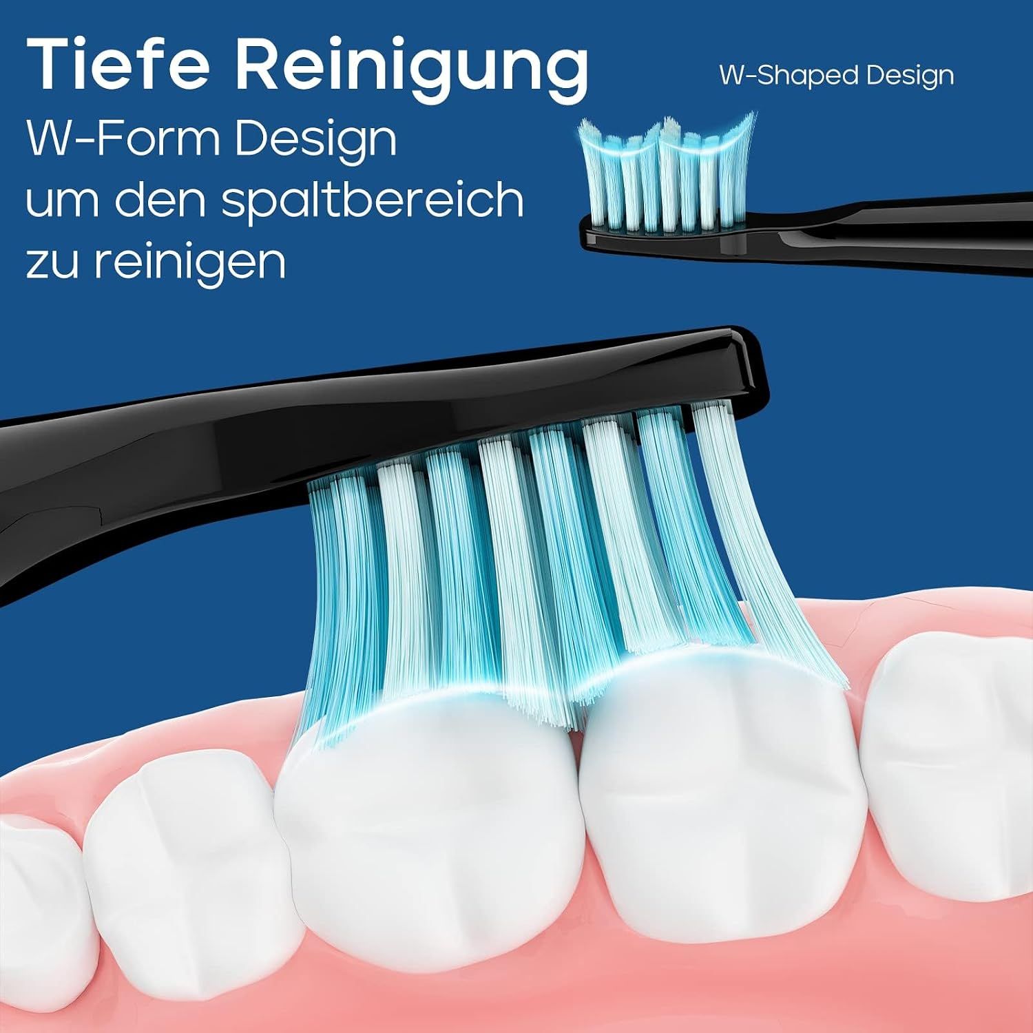 W-förmiger Zahnbürstenkopf reinigt effektiv Zahnzwischenräume.