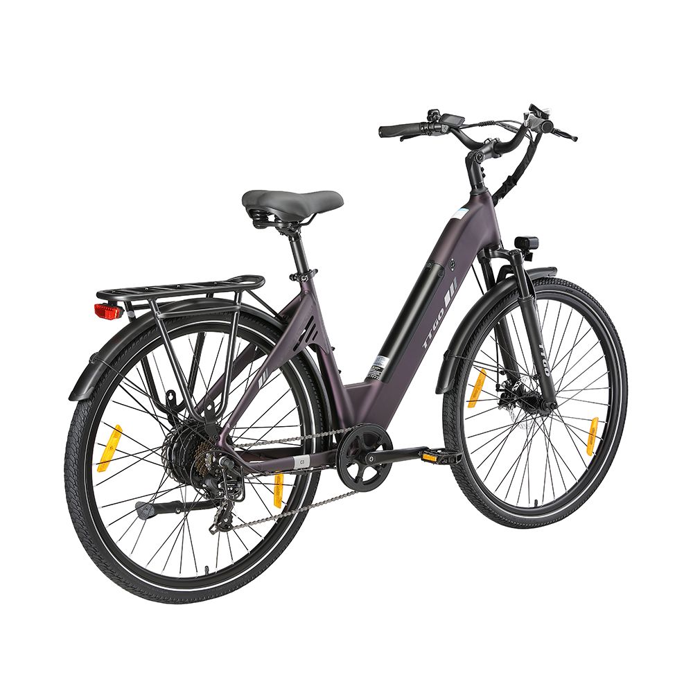 Dunkelviolettes Elektrofahrrad mit Gepäckträger, Schutzblechen und Beleuchtung. Schwarze Reifen und Sattel. TTGO-Logo.