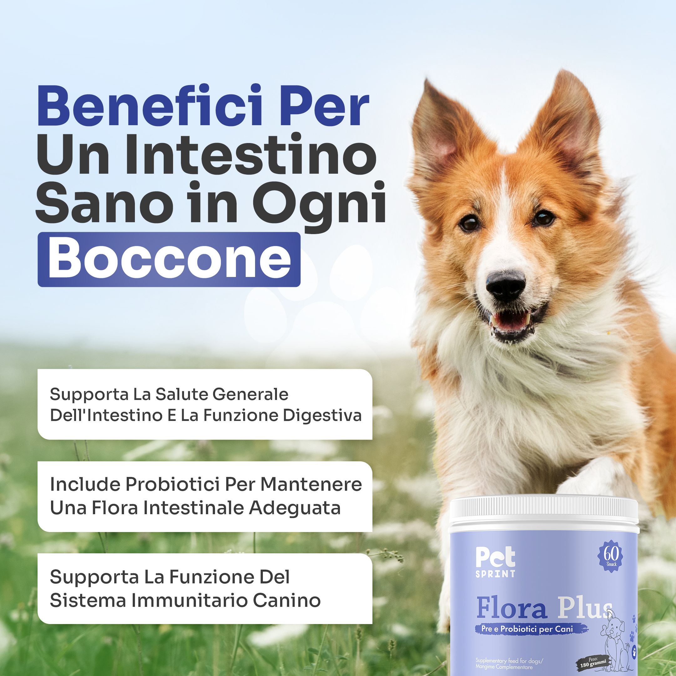 Contenitore Flora Plus accanto a un cane. Testo: Benefici Per Un Intestino Sano in Ogni Boccone. Vantaggi per la salute generale.