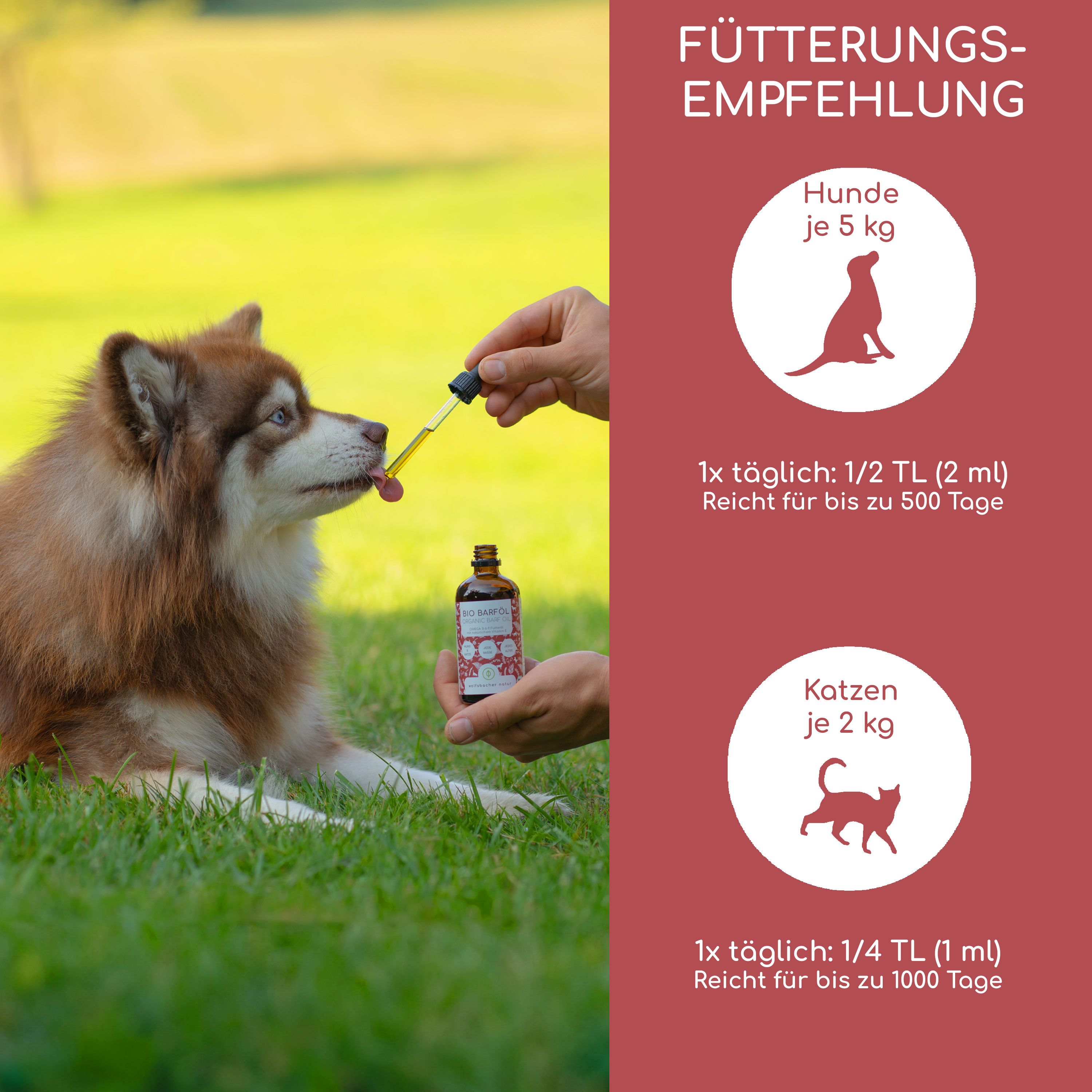 Ein Hund erhält Wolfsbacher Natur Bio Barf Öl aus einem Tropfer. Fütterungsempfehlung für Hunde und Katzen ist aufgeführt.