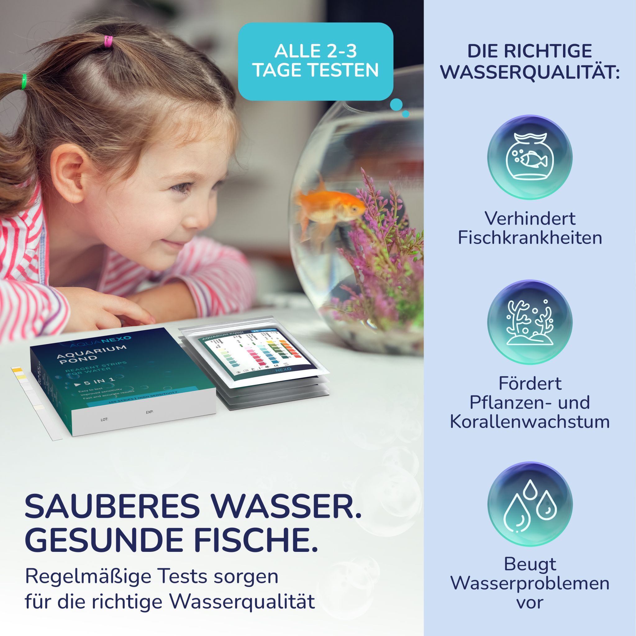 Kind betrachtet Aquarium. Packung Aquanexo 5in1 Teststreifen. Text: Sauberes Wasser. Gesunde Fische. Grafiken: Fisch, Pflanzen, Wasser.