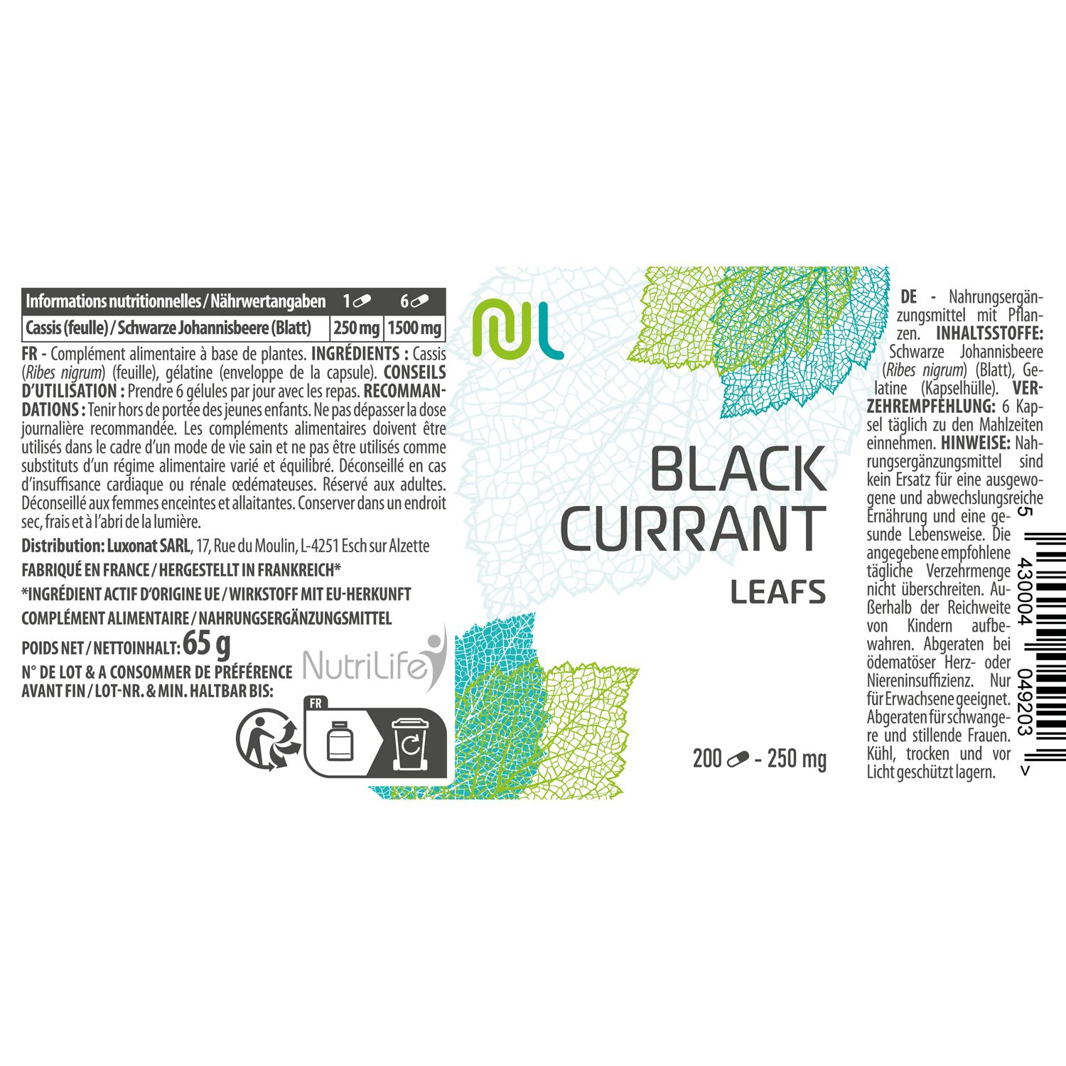 Etikett mit Informationen zu Nahrungsergänzungsmitteln. Text: Black Currant Leafs, 200-250 mg. Marke NutriLife.