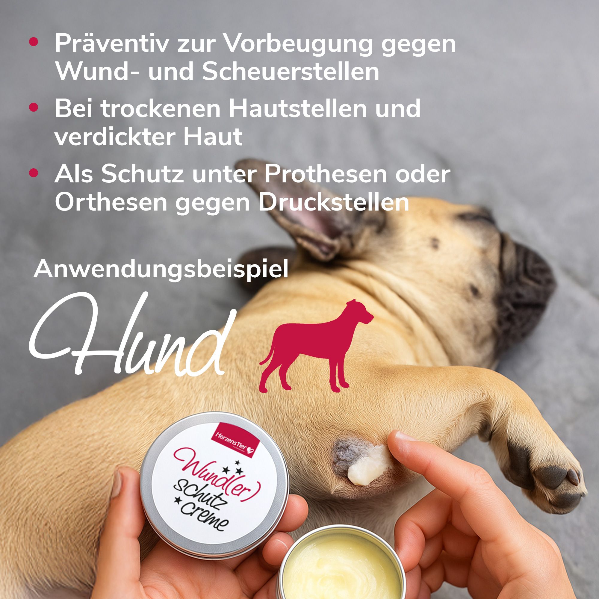 Hund mit Creme-Dose. Anwendung: Creme auf Haut aufgetragen. Text: 'Hund'.