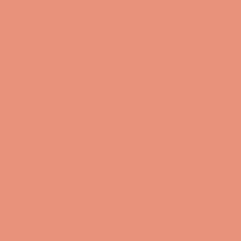 KORRES Lipbalm (Apricot)