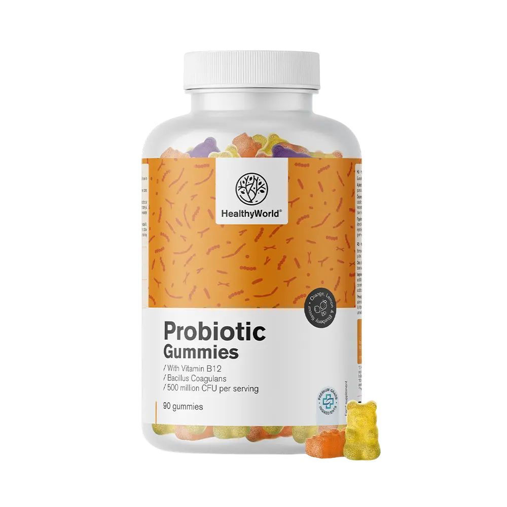 Transparente Flasche mit Gummibärchen. Aufschrift: HealthyWorld, Probiotic Gummis, mit Vitamin B12, Bacillus coagulans, 90 Gummis. Ein Gummibärchen liegt daneben.