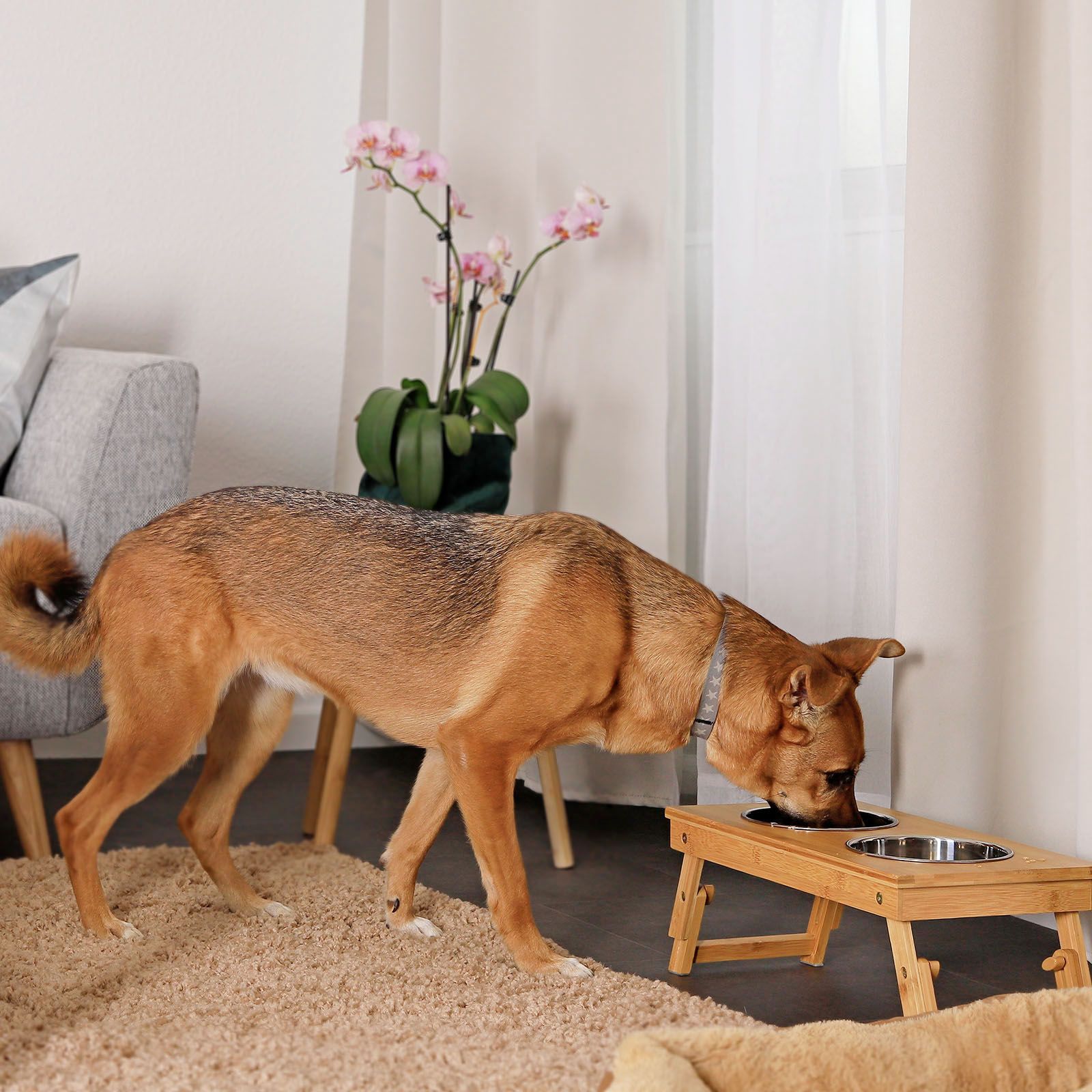 lionto Futterstation für Hunde aus Bambus