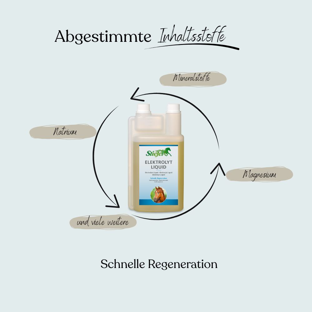 Behälter mit Stiefel Elektrolyt Liquid. Produktetikett mit Logo, Produktname und Pferdeabbildung. Kreisförmige Darstellung der Inhaltsstoffe.