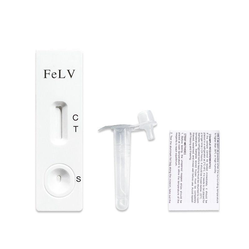 Teststreifen mit FeLV-Aufdruck, Reaktionsröhrchen und Beipackzettel. Der Test ist für Katzen.