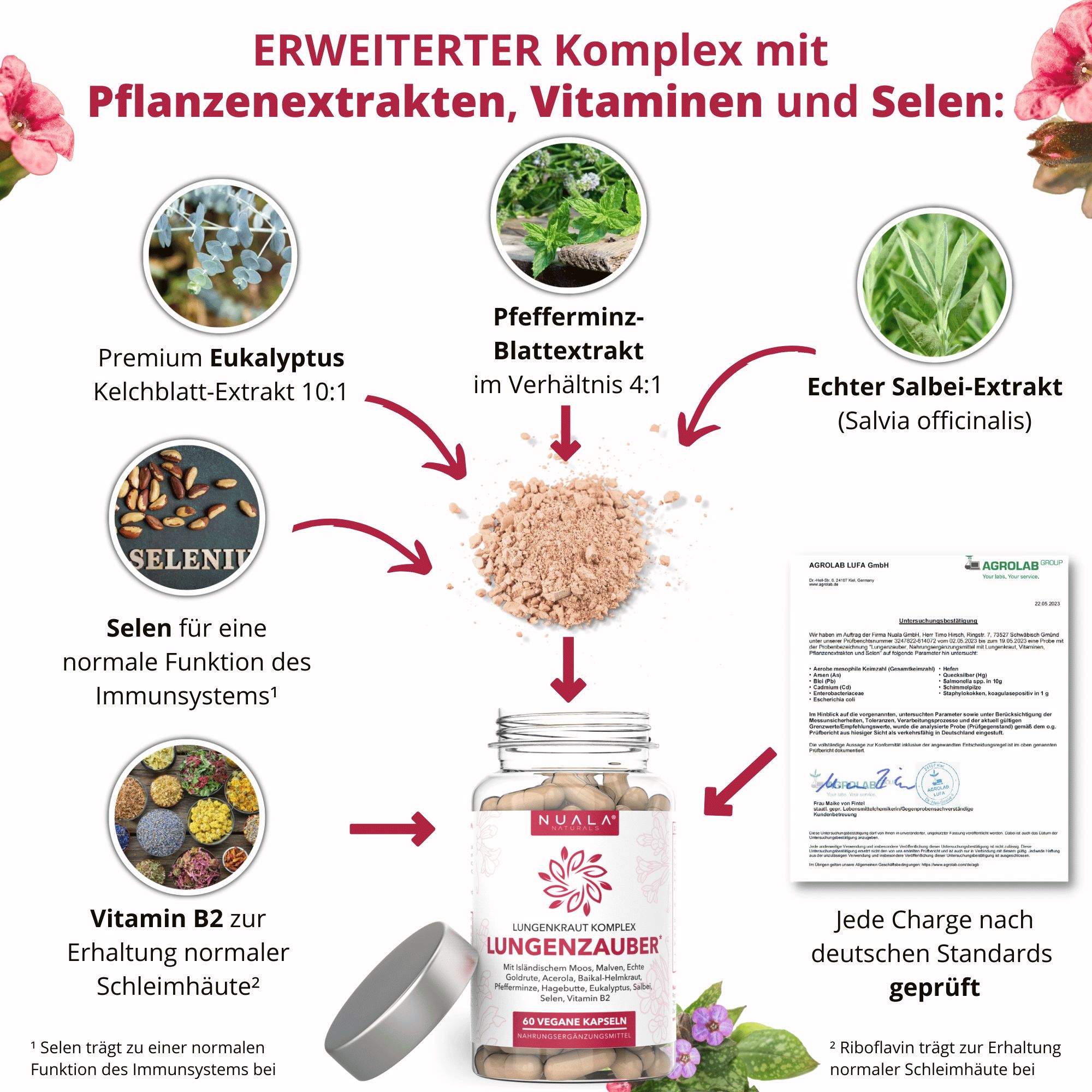 Erweiterter Komplex Lungenzauber: Eukalyptus, Pfefferminze, Salbei, Selen, Vitamin B2. Mit Prüfzertifikat.