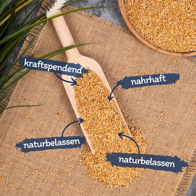 Hirse in Holzschaufel und Schale. Text: kraftspendend, nahrhaft, naturbelassen.