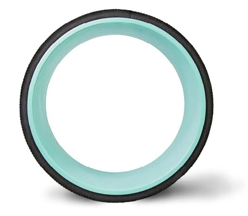 CHIRP 25,4 cm Wheel Plus – Fest
