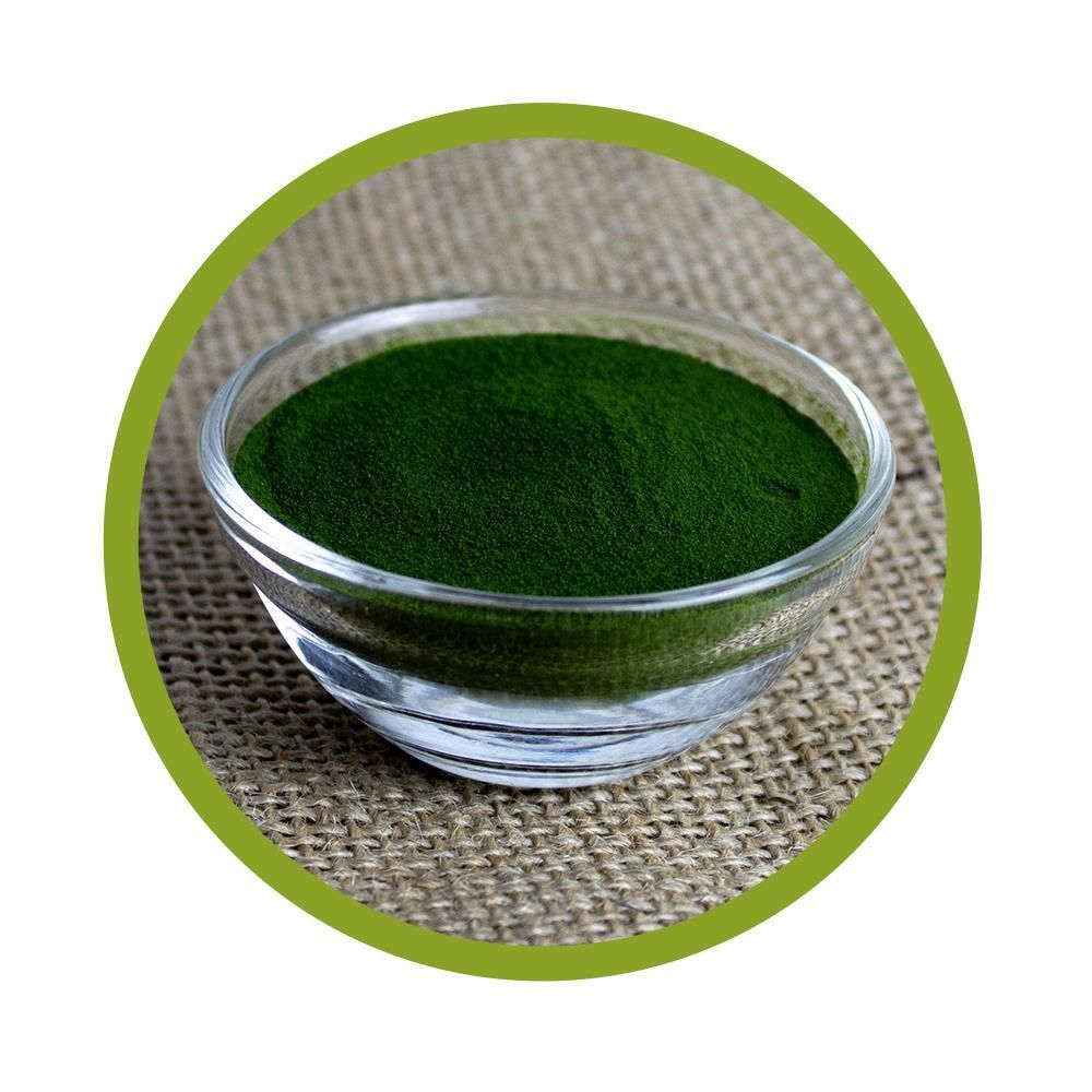 vitalundfitmit100® Bio Gerstengrassaft Pulver