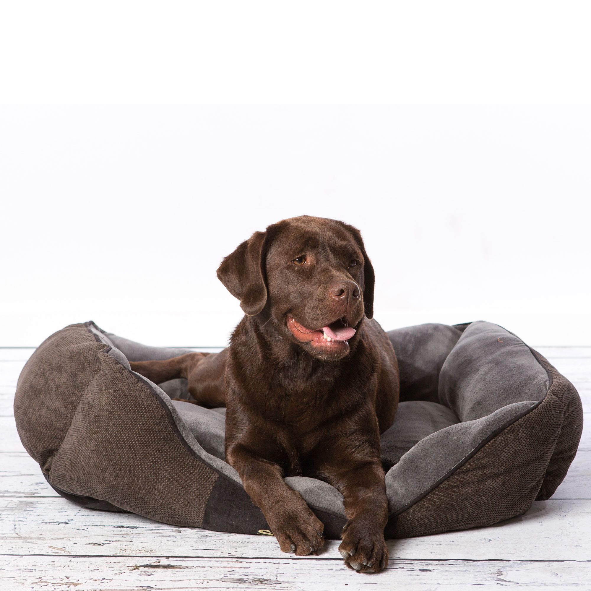 SCRUFFS® Chester Box Bett - Graphit - hochwertig - Anti-Rutsch-Noppen - Plüschstoff