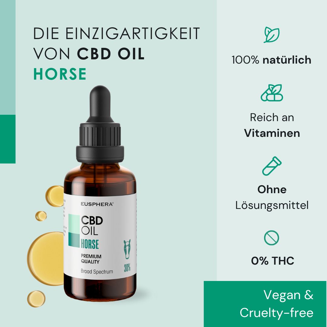 Pferdekopf mit Text. CBD Oil Horse. Stress, Angst, osteomuskuläre Probleme.
