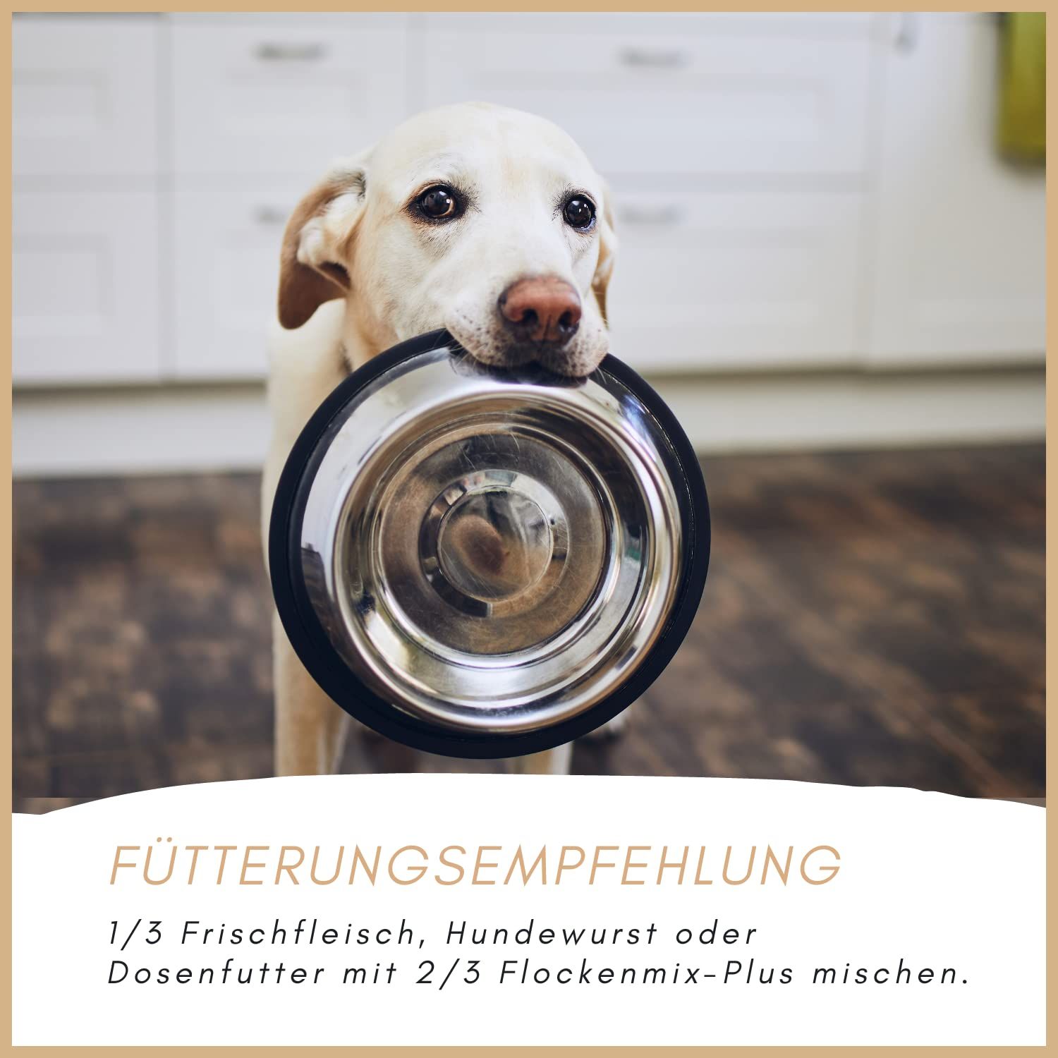Hund mit Futternapf. Text: Fütterungsempfehlung: 1/3 Frischfleisch, Hundewurst oder Dosenfutter mit 2/3 Flockenmix-Plus mischen.