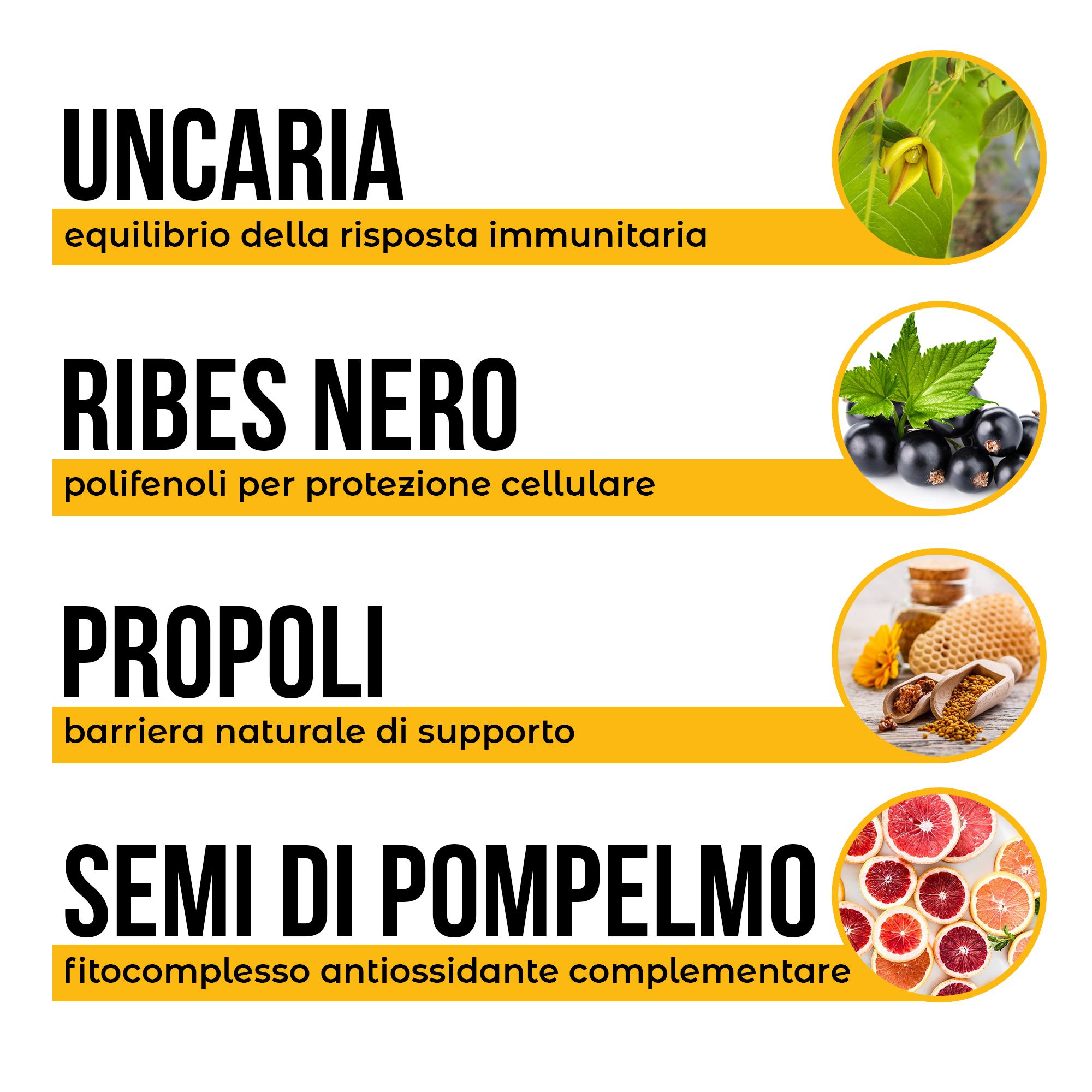 Produktflasche mit Informationen über Uncaria, Ribes Nigrum, Propolis und Grapefruitkernextrakt.