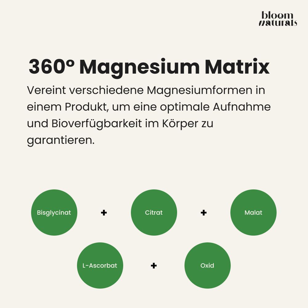 Grafik zeigt 5 Formen Magnesium: Bisglycinat, Citrat, Malat, L-Ascorbat, Oxid. 360° Magnesium Matrix.