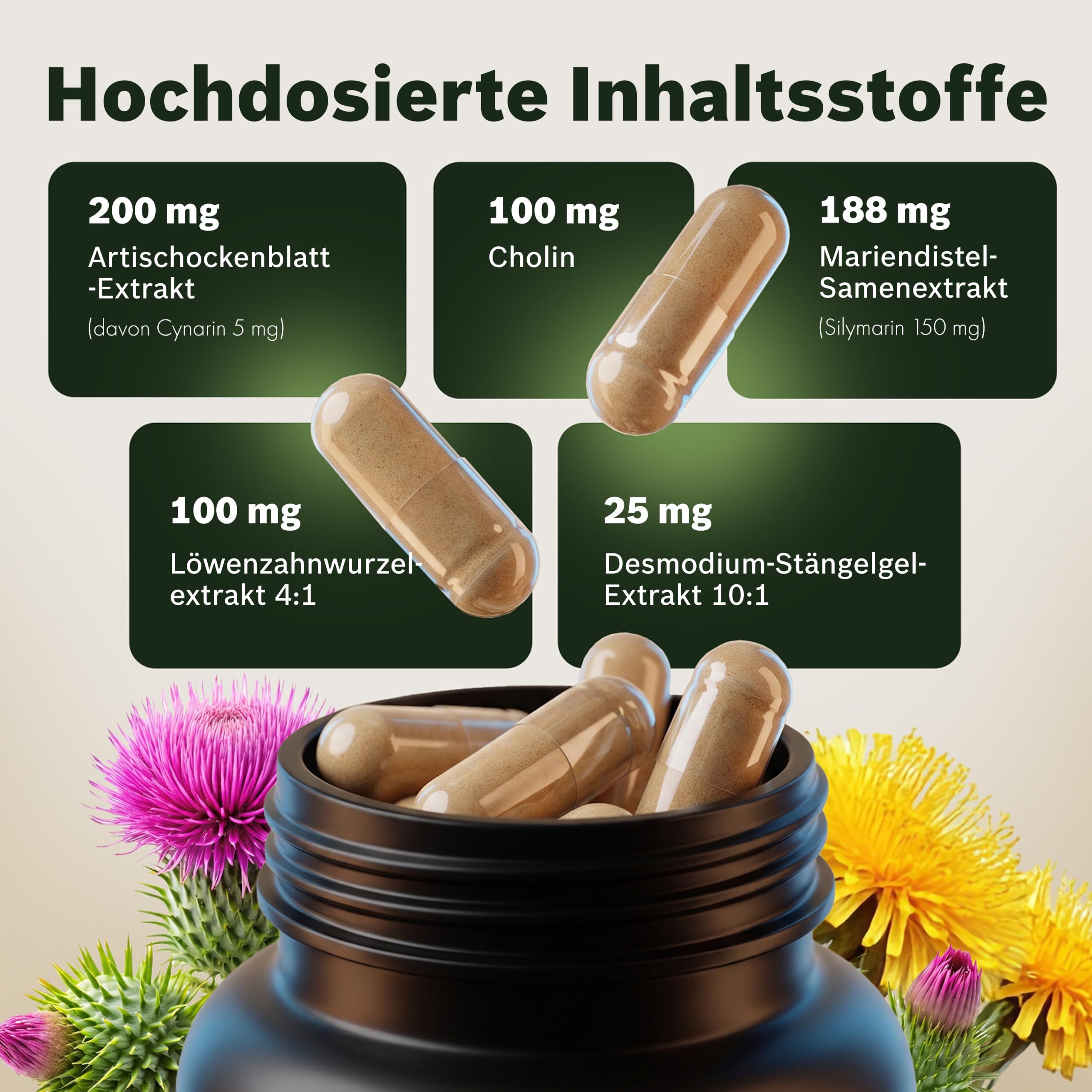 Hochdosierte Inhaltsstoffe: Artischocke, Cholin, Mariendistel, Löwenzahnwurzel, Desmodium. Kapseln.