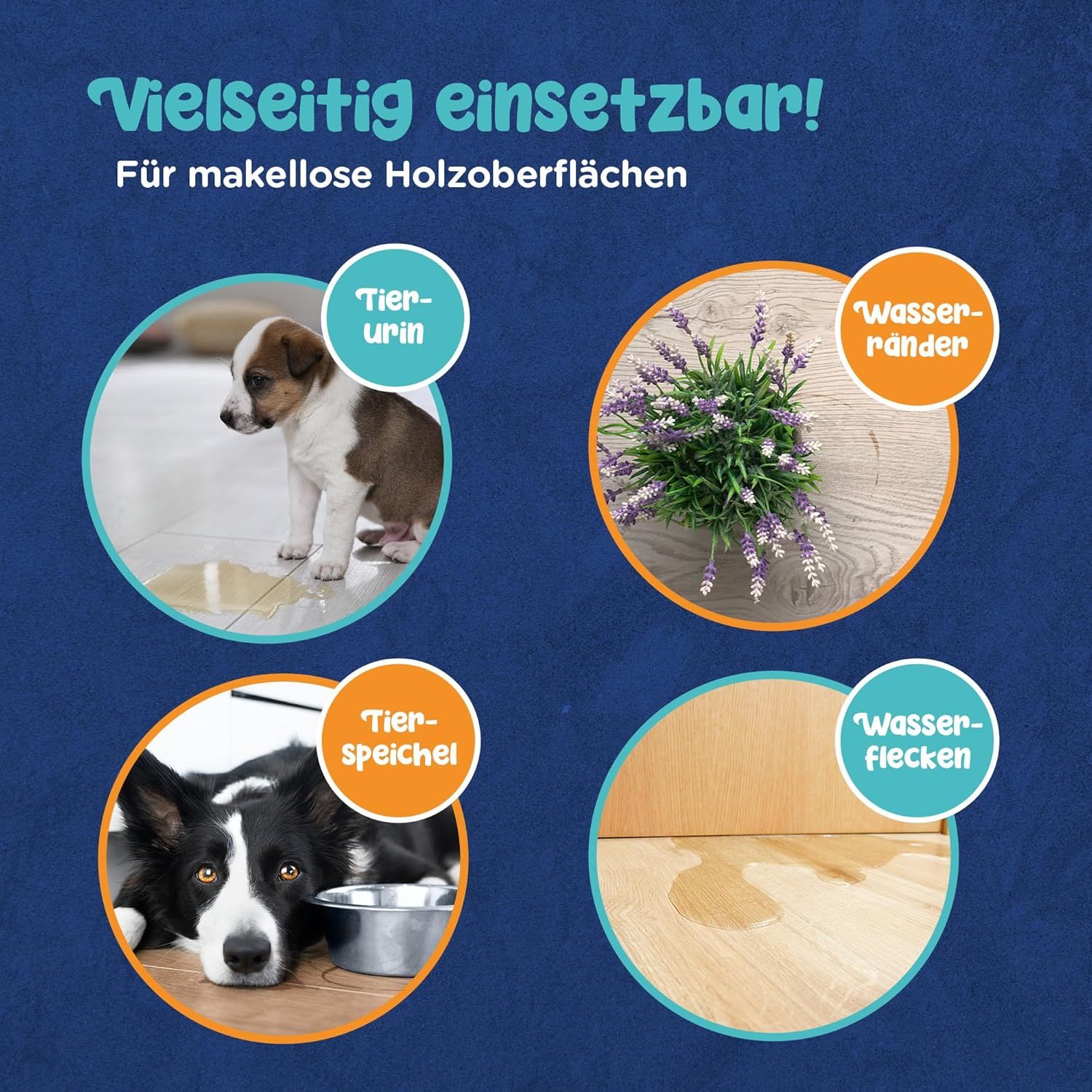 Collage mit Bildern. Hund und Urinflecken. Lavendel und Wasserflecken. Hund und Speichel. Holz mit Wasserflecken. Text: Vielseitig einsetzbar!