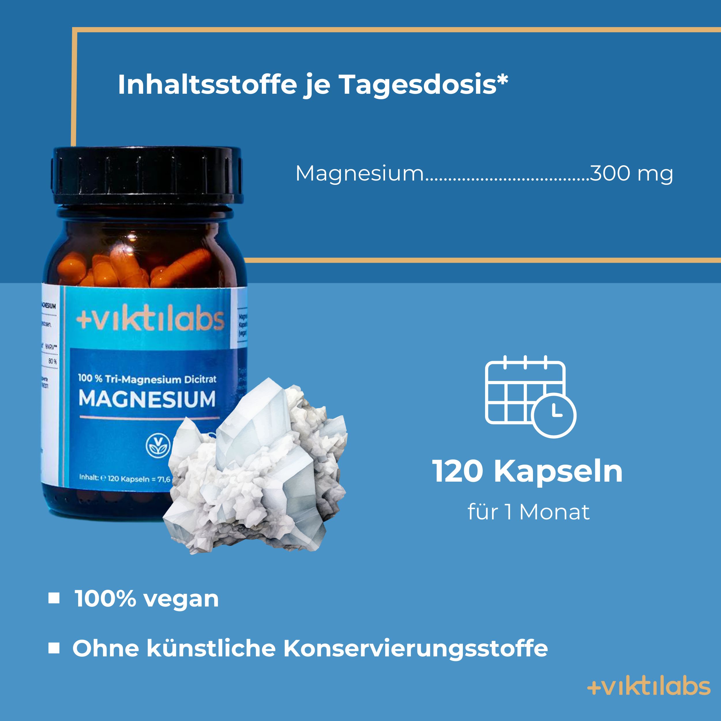 Viktilabs Magnesium: Tri-Magnesium Dicitrat für schnelle Aufnahme und hohe Bioverfügbarkeit