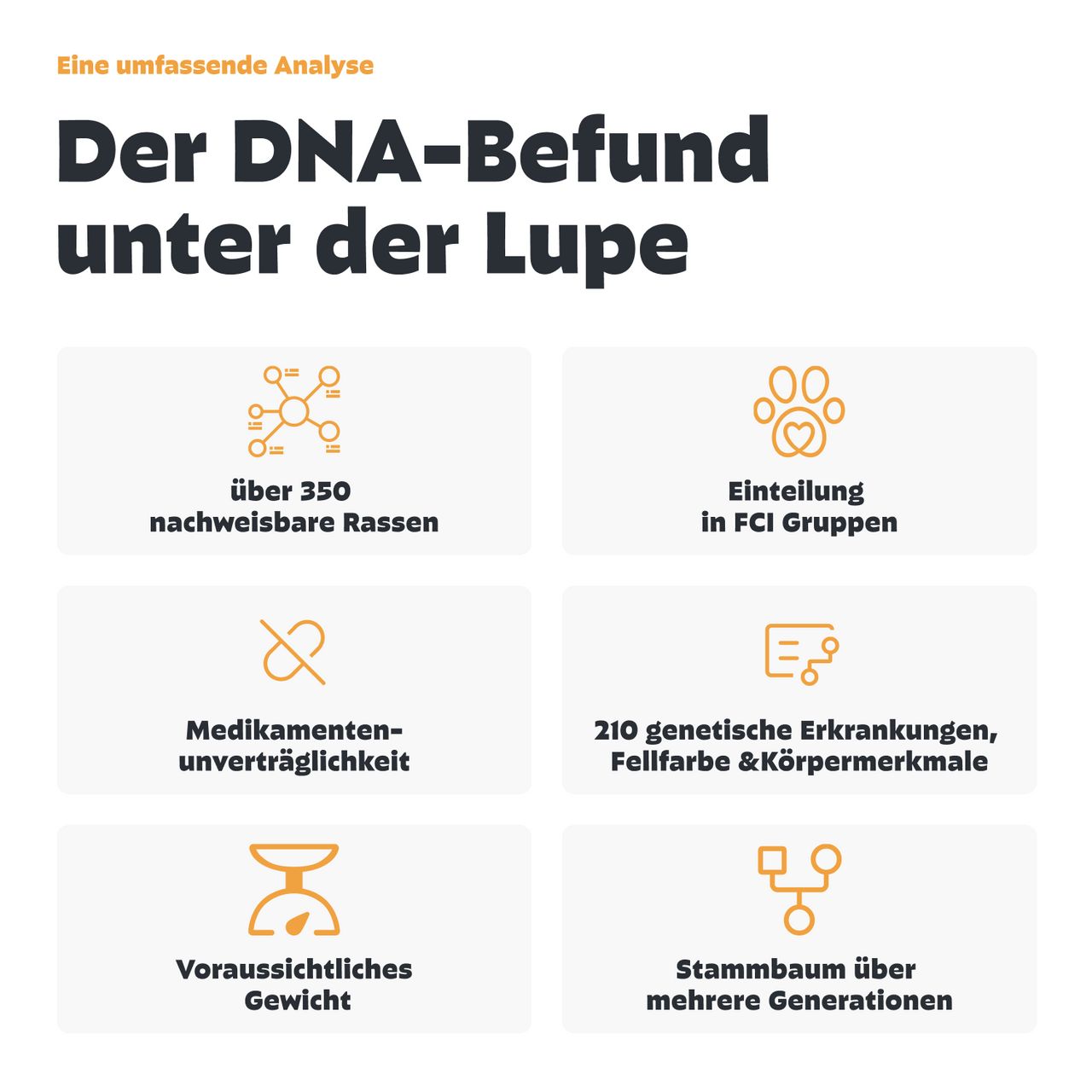 Infografik: Analyse von über 350 Rassen, Einteilung in FCI-Gruppen, Medikamentenunverträglichkeit, Gewicht, Stammbaum.