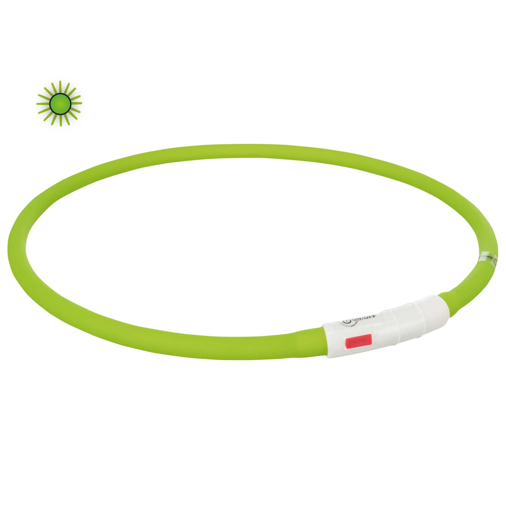 Grüner Leuchtschlauch für Hunde. Weißer Verschluss mit rotem Knopf. Leuchtendes Symbol.