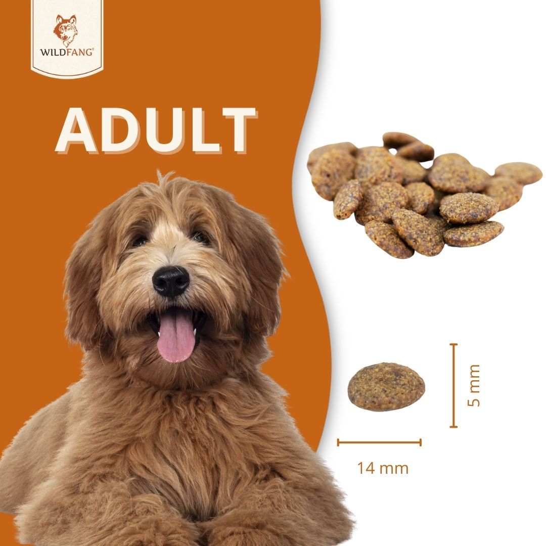 Trockenfutter-Krokette, 14 mm lang, 5 mm dick. Hund im Hintergrund. Text: ADULT.