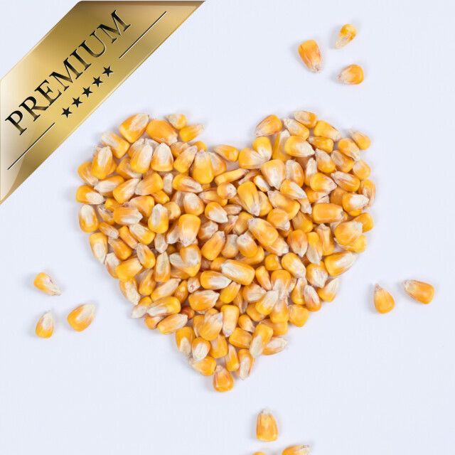 Maiskörner in Herzform. Goldener Streifen: PREMIUM. Hintergrund: Weiß.