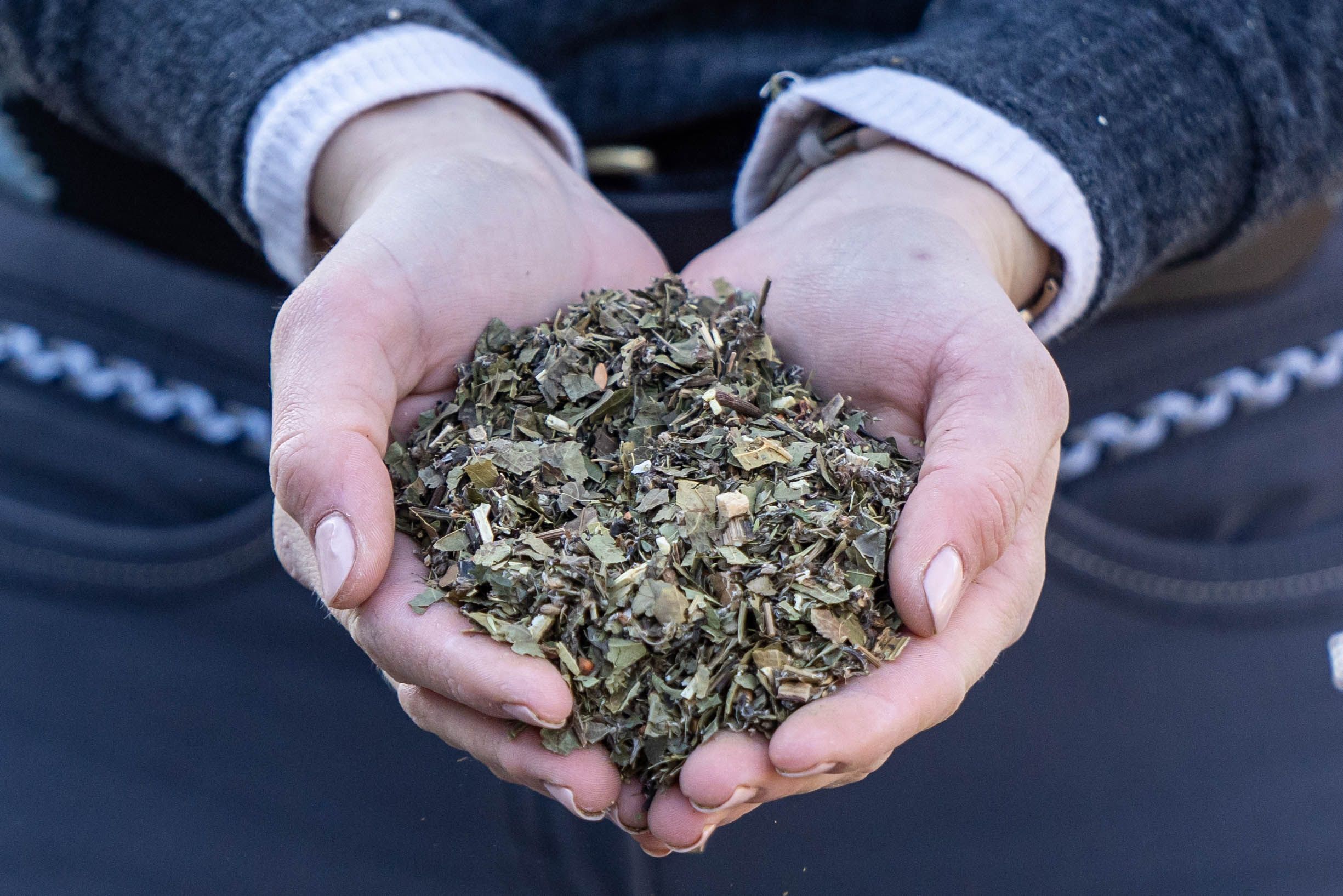 Hände halten eine Portion Kräutermischung. Die Kräuter sind grün und getrocknet.