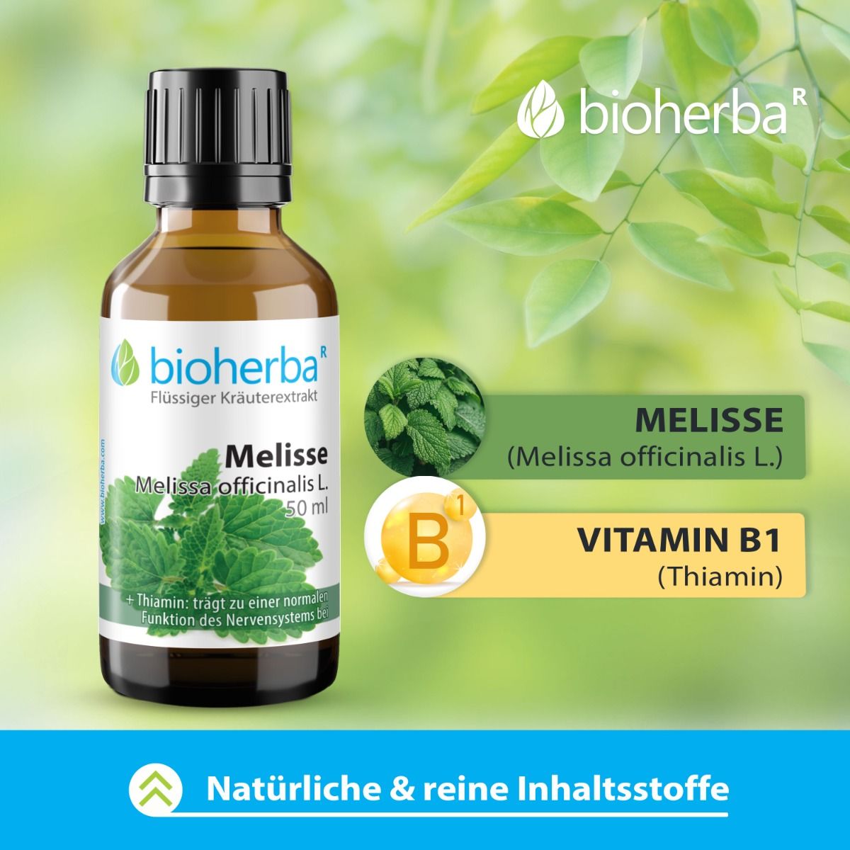 Melisse Melissa officinalis L. Tropfen Tinktur 50 ml PZN 17187623