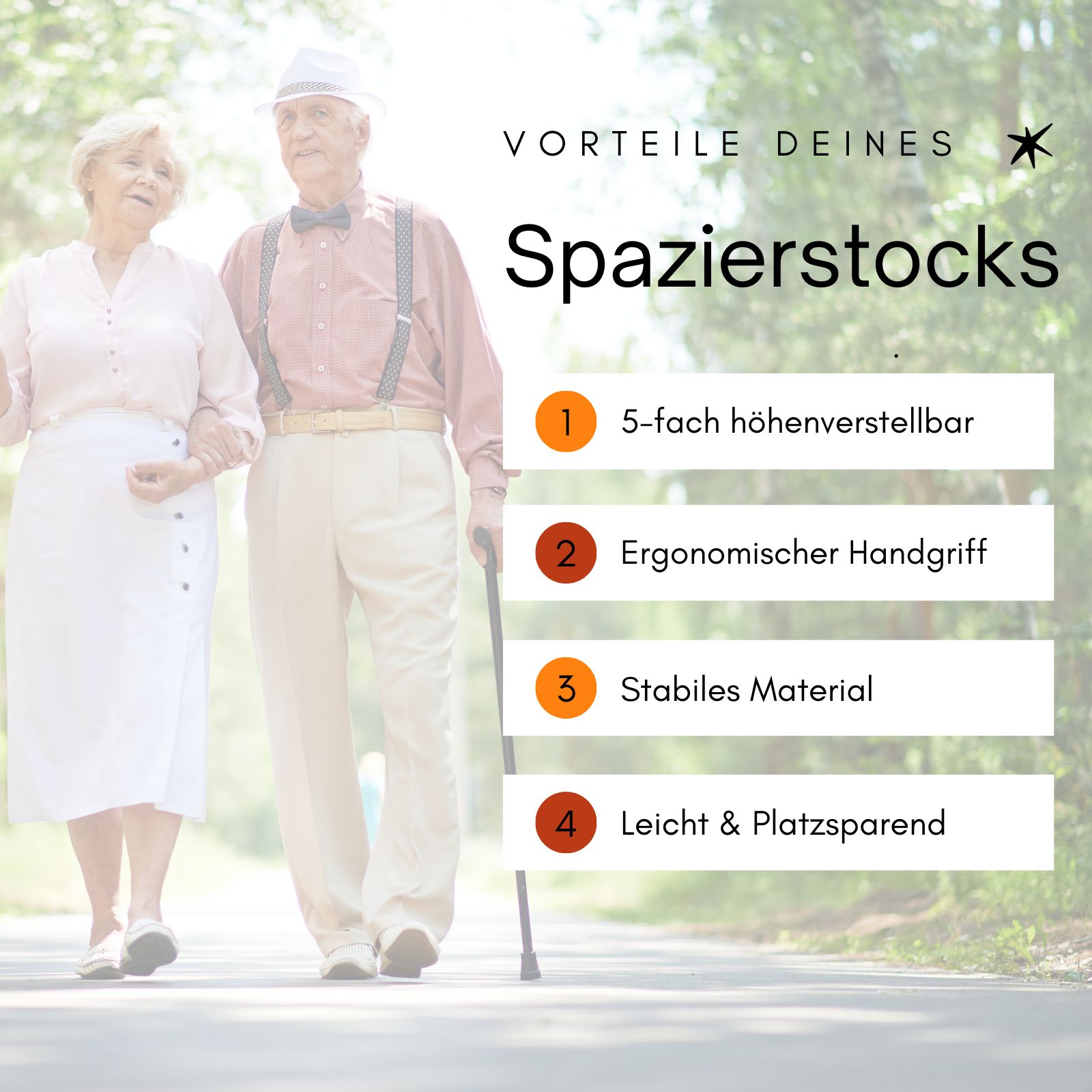 Bischoff & Bischoff Gehstock faltbarer Klappstock
