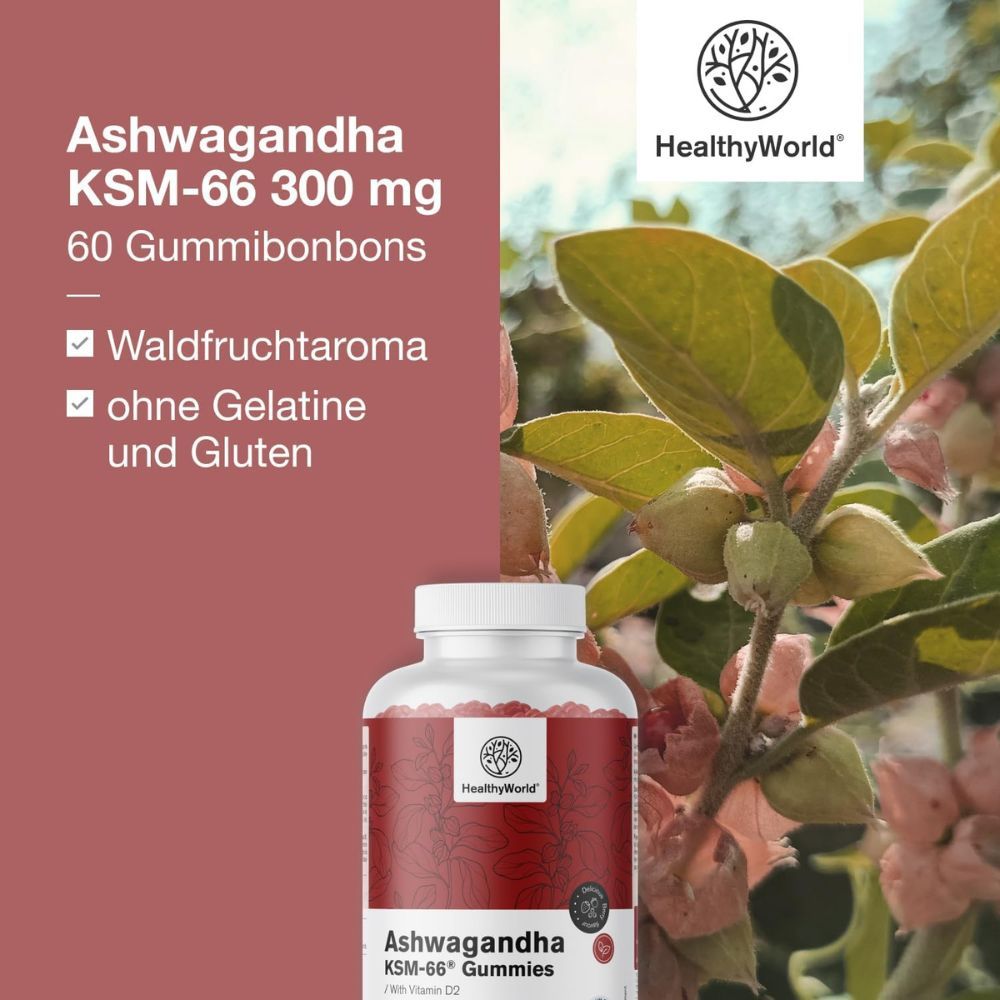 Flasche Ashwagandha KSM-66 Gummies, 60 Gummibärchen. Aufschrift: 300 mg. Detaillierte Produktinformationen.